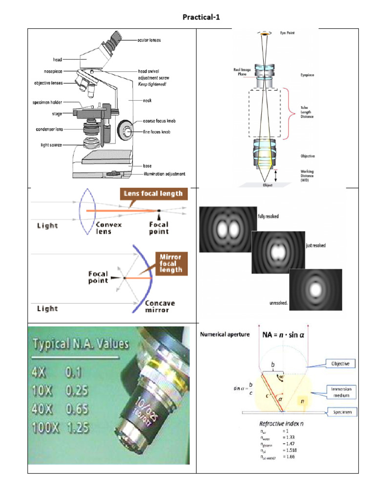 VMC Unit 1-3 Unit Photos Updated Final | PDF | Gel Electrophoresis ...