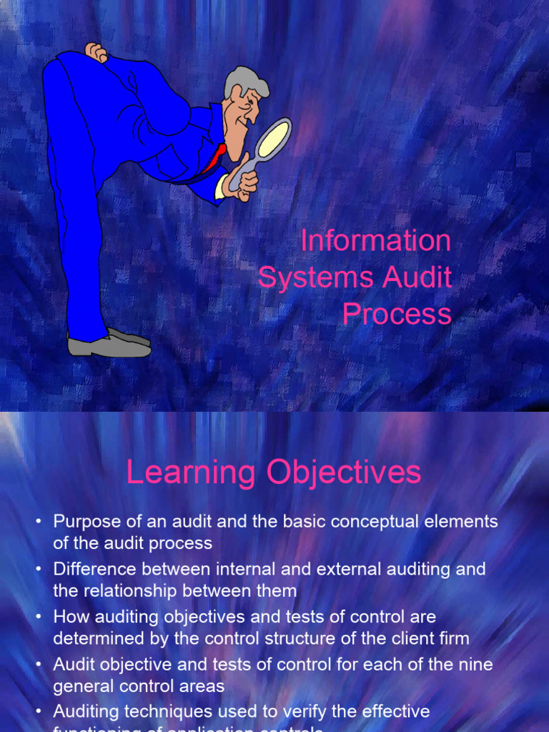 It Audit Process | PDF | Audit | Internal Control