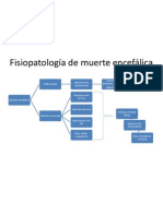 Fisiopatología de Muerte Encefálica