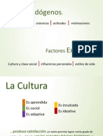 Factores Culturales (Marketing)