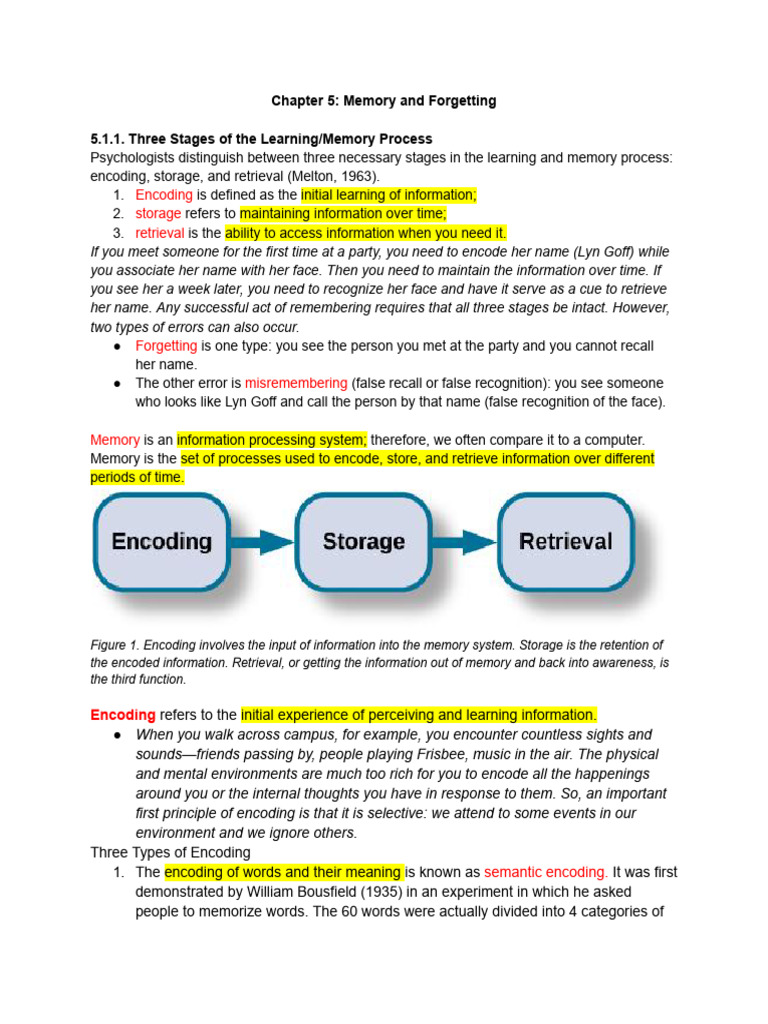 Chapter 5 - Memory and Forgetting | PDF | Memory | Recall (Memory)