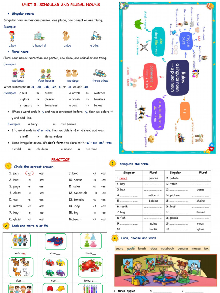 Singular and Plural Nouns | PDF