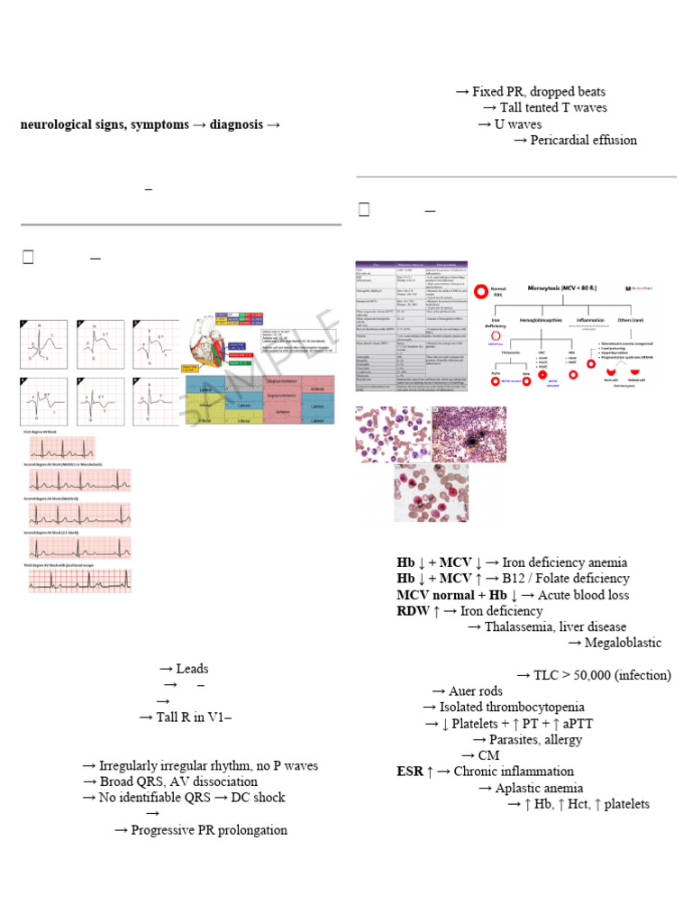 FMGE Rapid Revision | PDF | Anemia | Medical Specialties