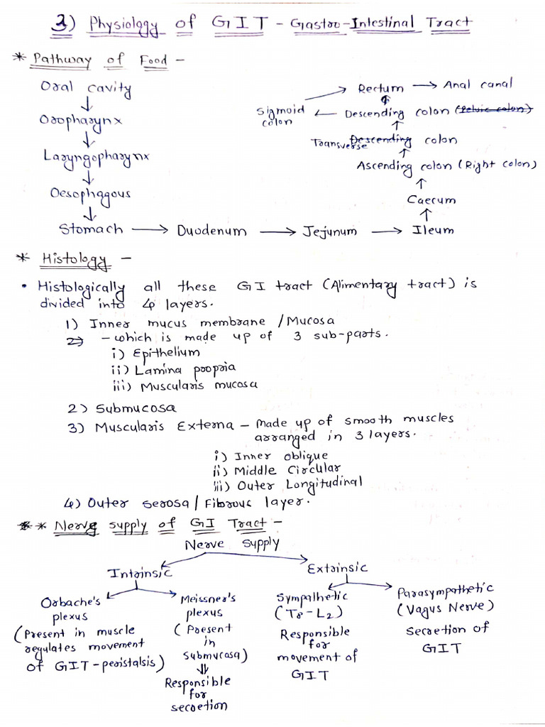 Physiology of GIT Notes | PDF