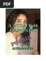 A VIDA E O CAMINHO