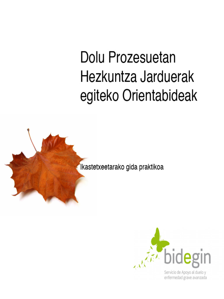 Gida Dolua Eskolan | PDF