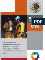 Guia Informativa de La Norma NOM 002 STPS 2010