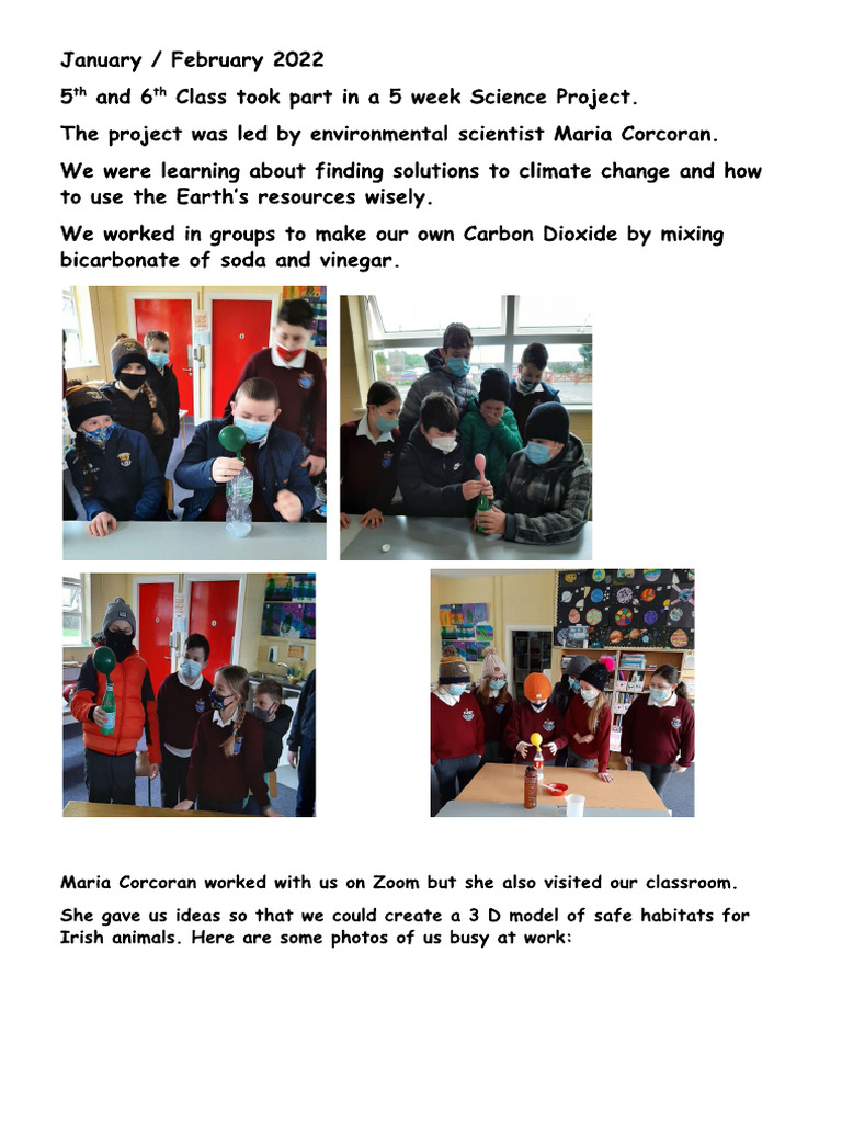 Science 1 | PDF
