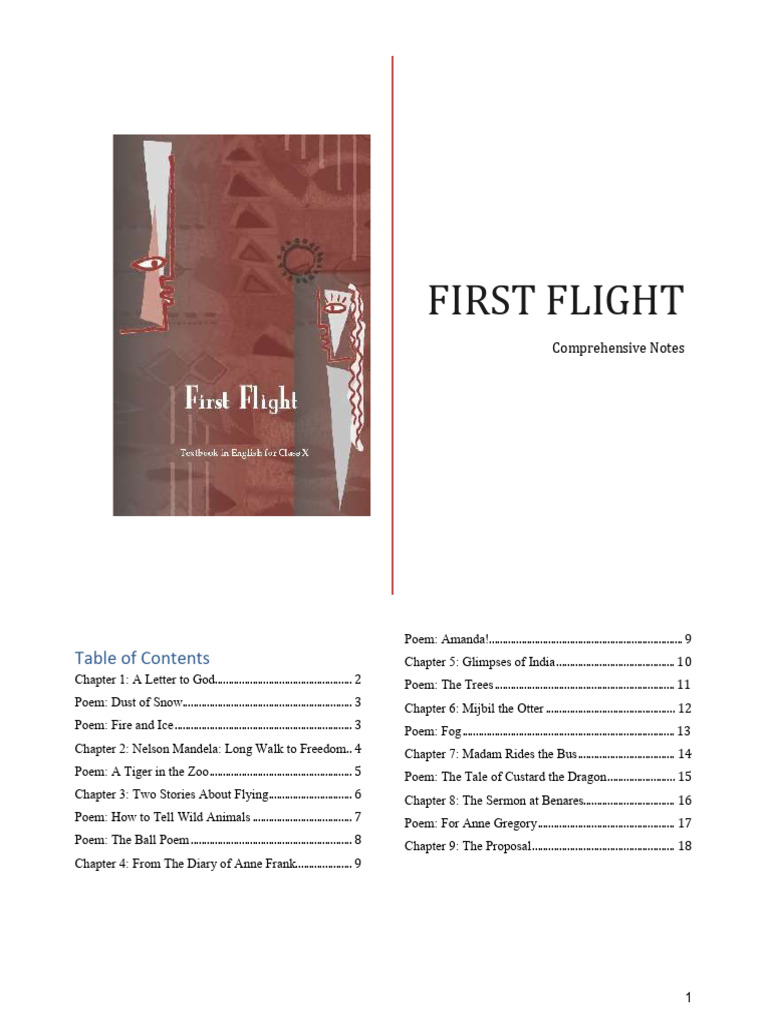 Firstflightcomprehensivenotes 251226162449 A9e1fbb4 | PDF | Metaphor ...