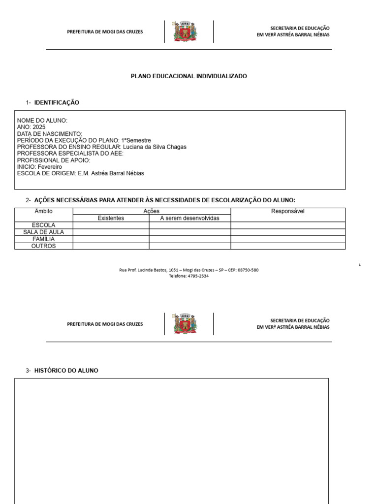 MODELO PEI Plano Educacional Individualizado em Branco | PDF