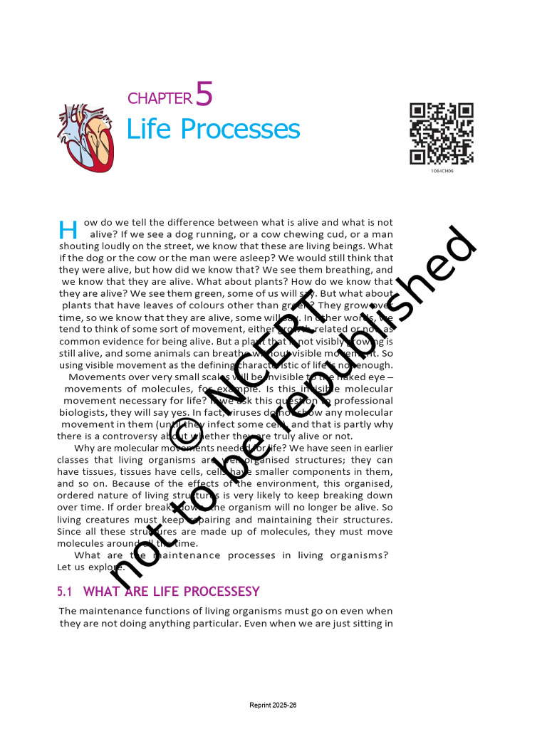 Life Processes | PDF | Adenosine Triphosphate | Digestion