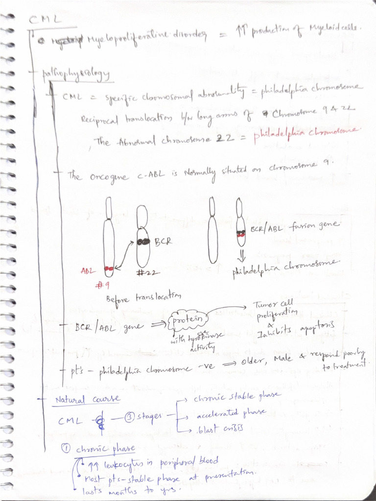 CML | PDF