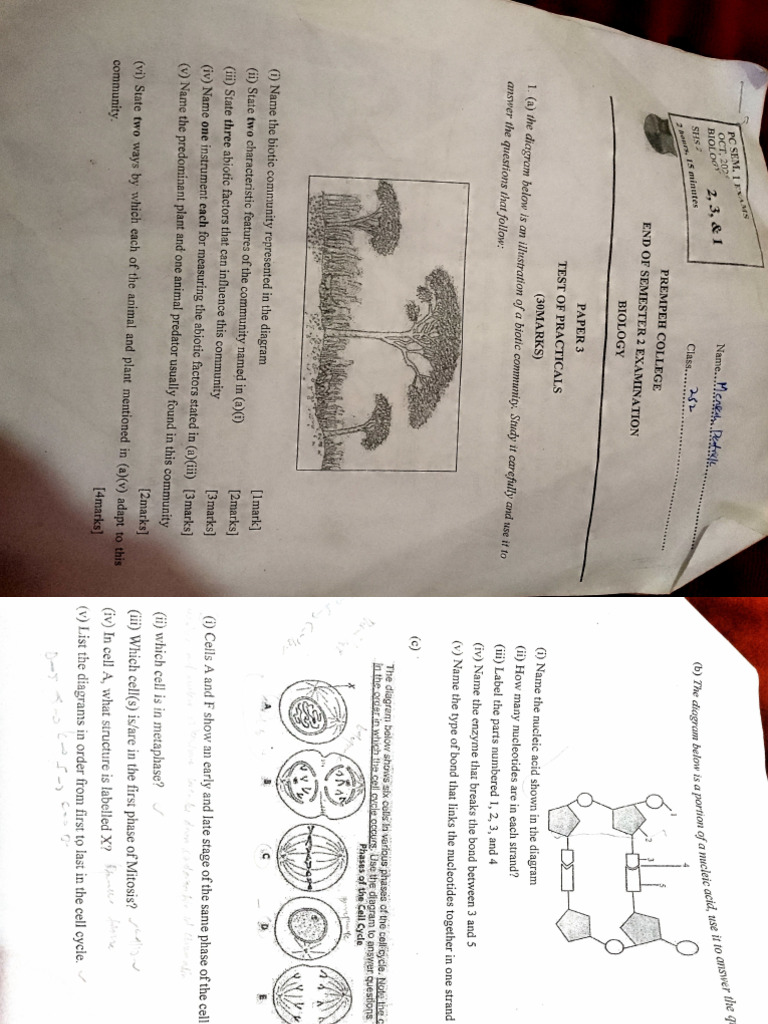 PC Biology | PDF