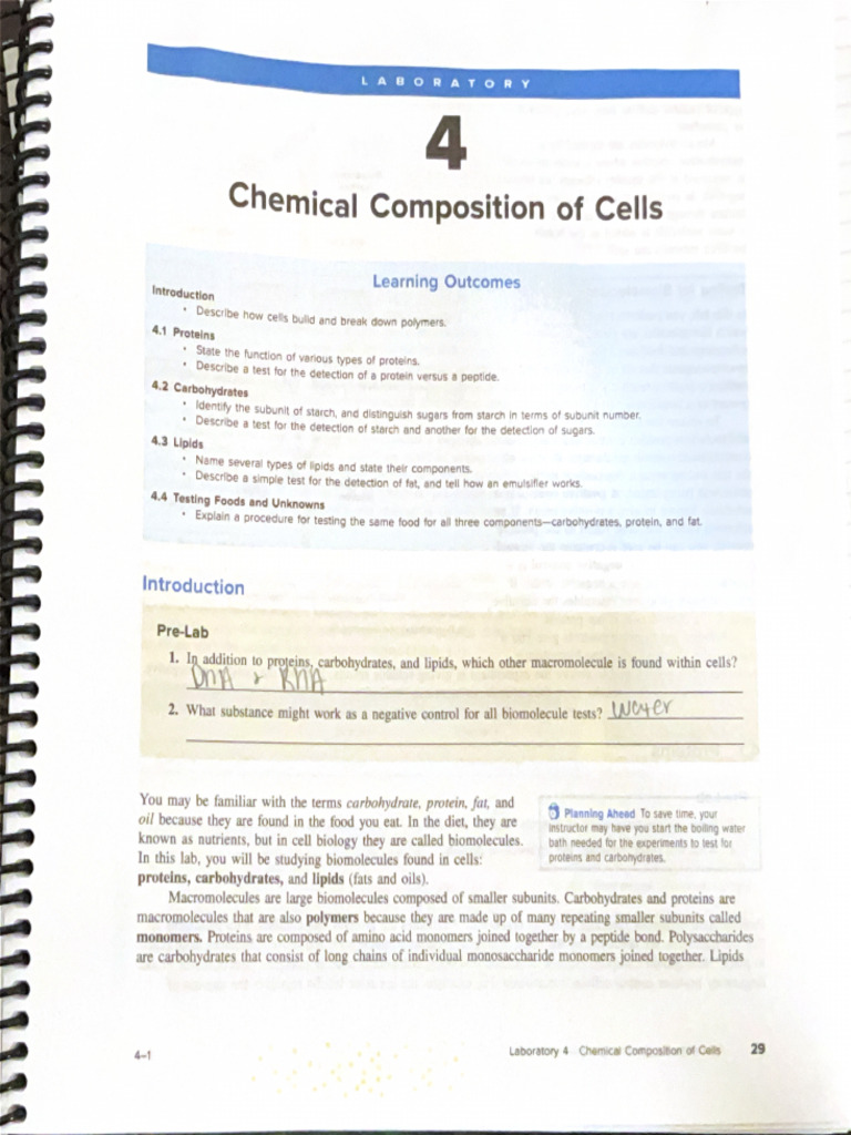Chemical Composition of Cells | PDF