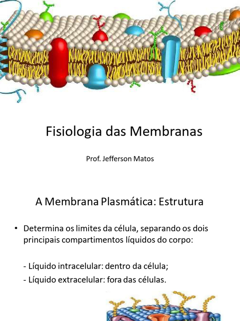 Fisiologia Das Membranas | PDF | Osmose | Membrana celular