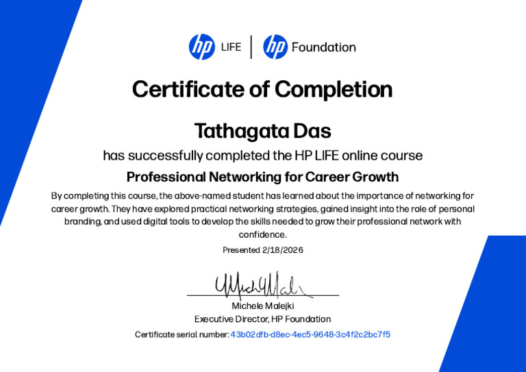 Professional Networking For Career Growth | PDF