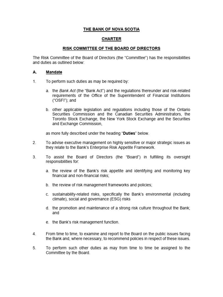 November 2025 Risk Committee of The Board of Directors Charter | PDF ...