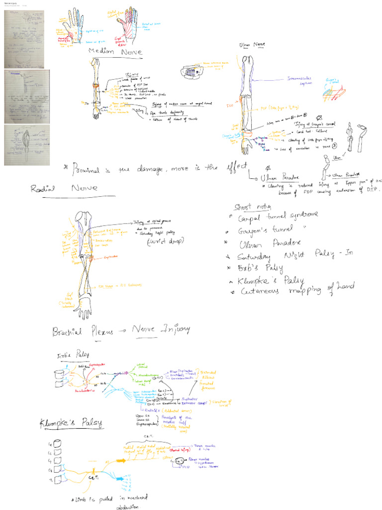 Nerve Injury | PDF