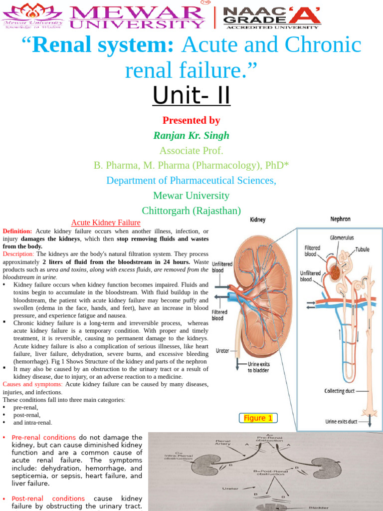 Acute and Chronic Renal Failure | PDF | Hemodialysis | Kidney