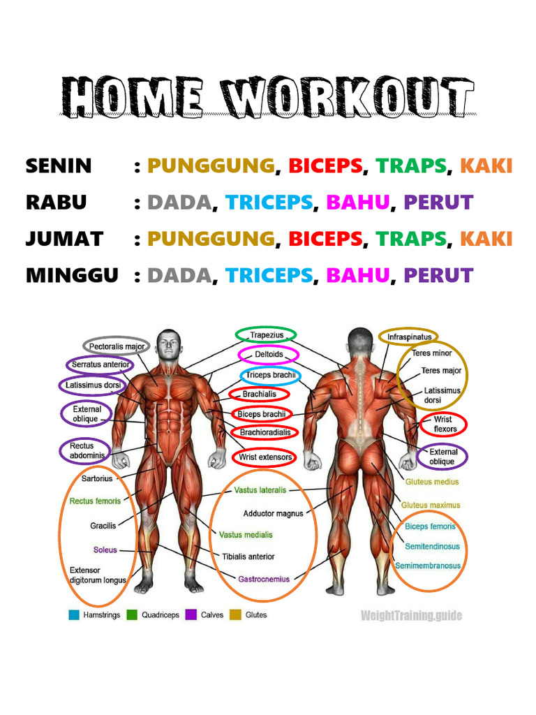 Homework Out | PDF