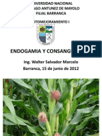 Endogamia, consanguinidad y heterosis en el mejoramiento de plantas