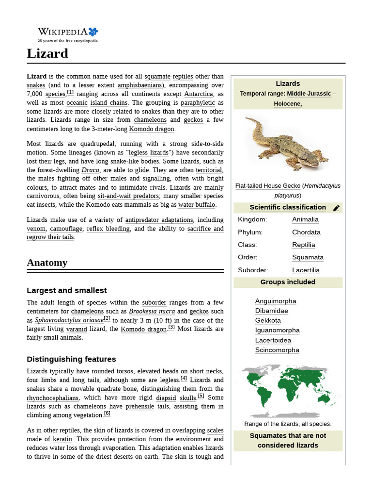 Lizard | PDF | Lizard | Egg