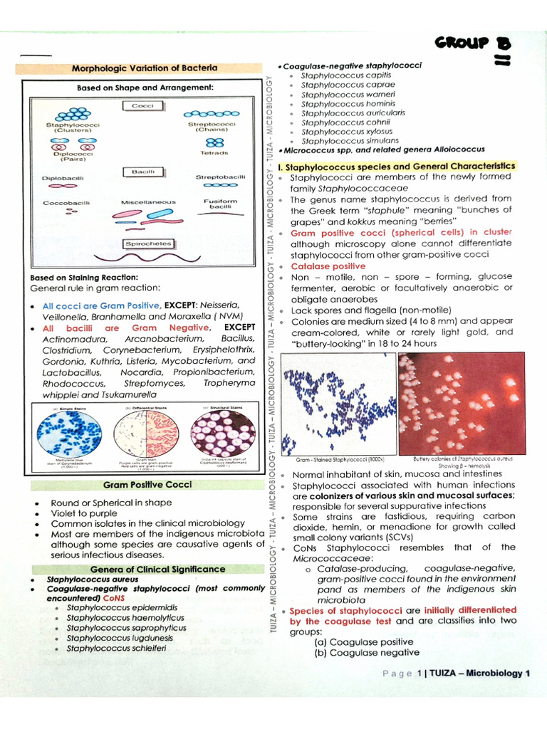 Microbio Midterm Batch 2 | PDF