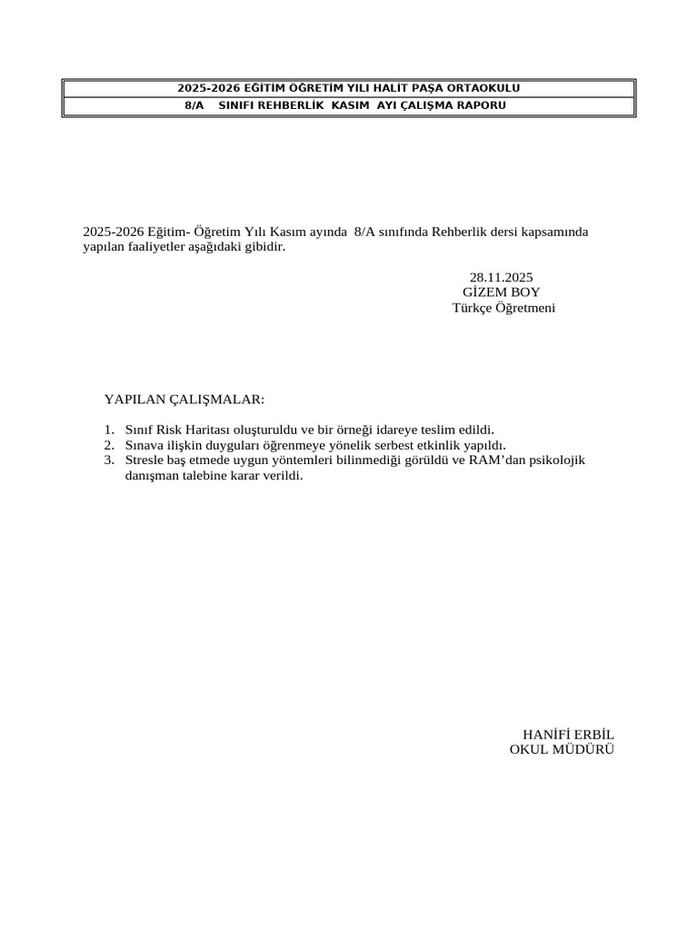 Rehberlik Rapor | PDF
