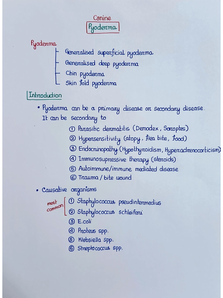 01 Canine Pyoderma | PDF | Immunology | Diseases And Disorders