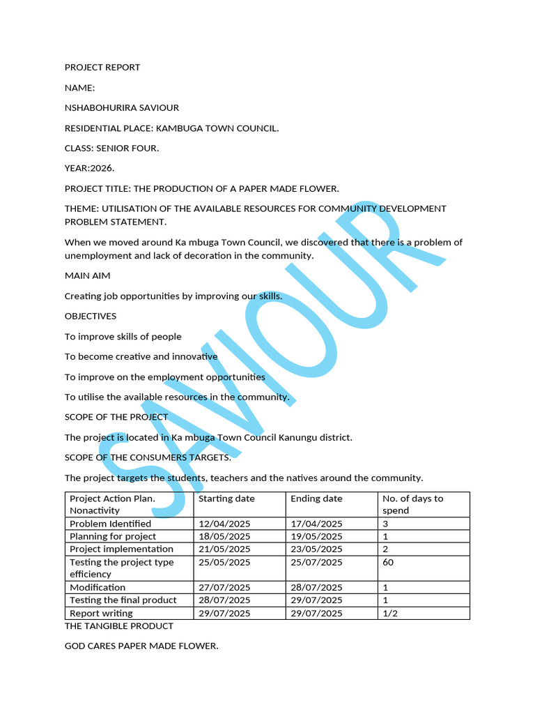 SAVIOUR | PDF | Paper