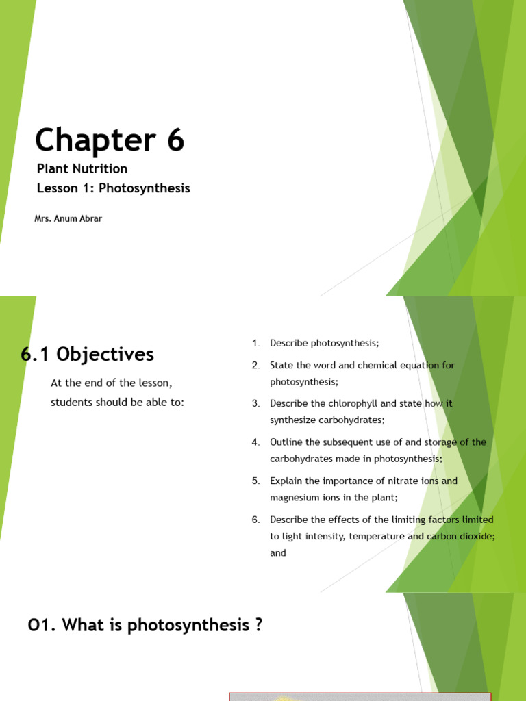 Chapter 6 Lesson 1 Photosynthesis | PDF | Photosynthesis | Carbon Dioxide