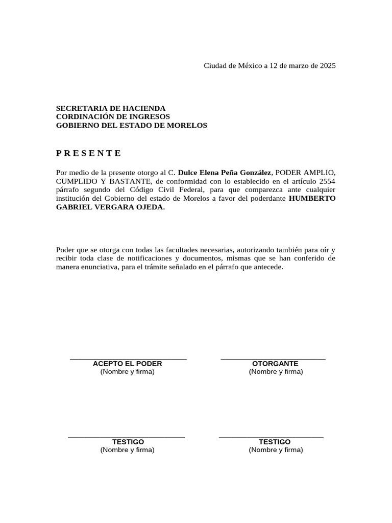 Carta Poder Simple Machote | PDF