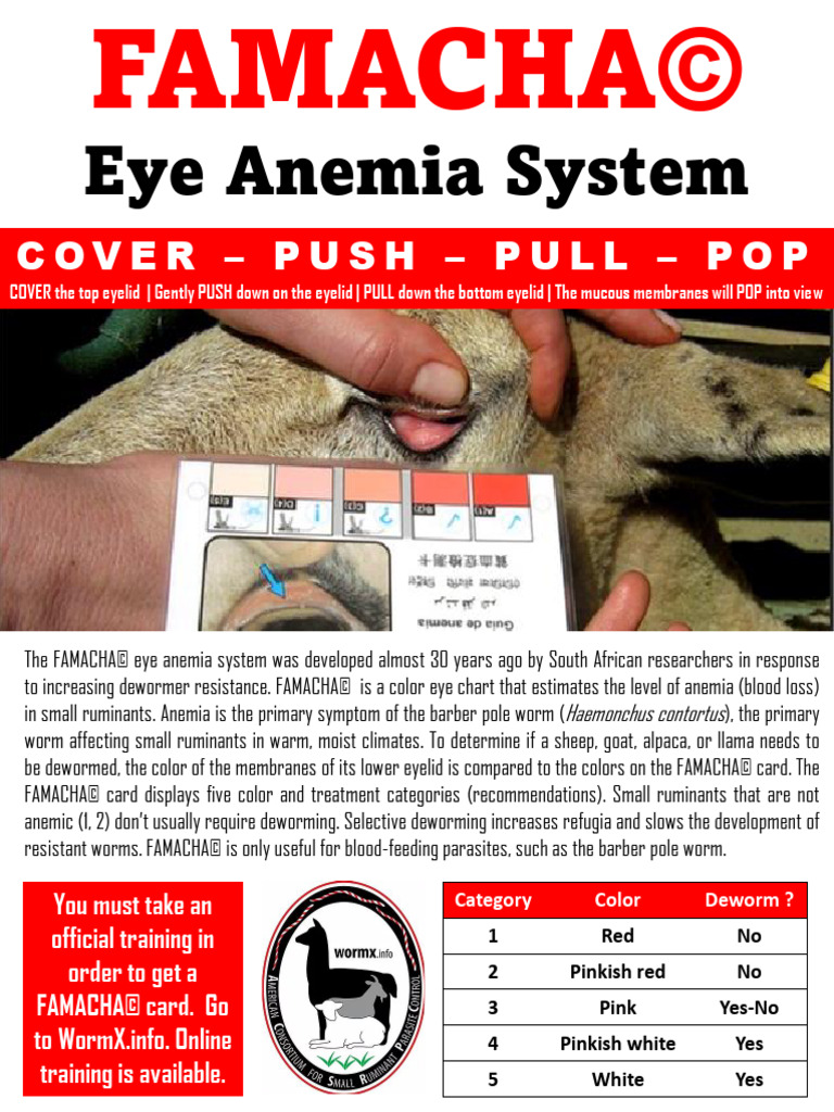 FAMACHA Eye Anemia System | PDF