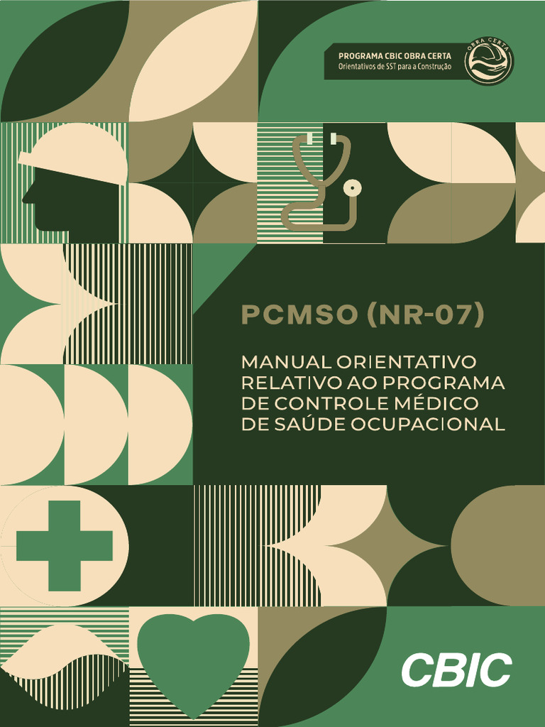 Pcmso NR 7 | PDF