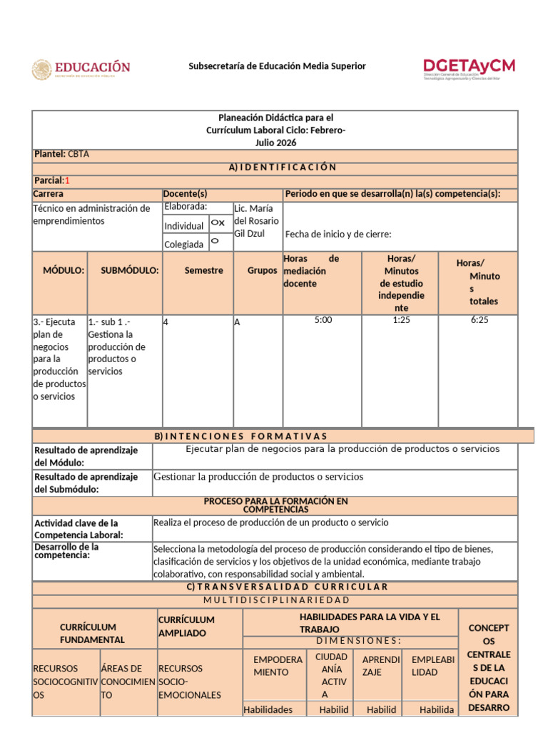 p1-1ok - (1) | PDF | Evaluación | Plan de estudios