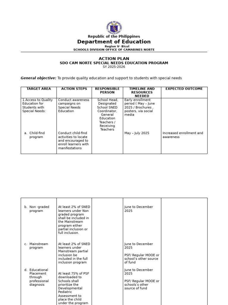 Special Needs Action Plan Template | PDF | Intelligence