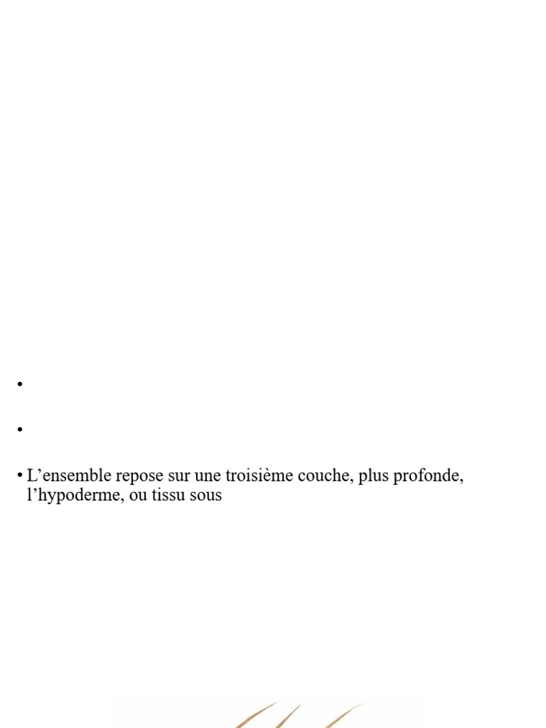 Le Revetement Cutane | PDF | Épiderme (anatomie) | Peau