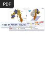 Download Mode of Action Insulin by manus7777 SN100393105 doc pdf