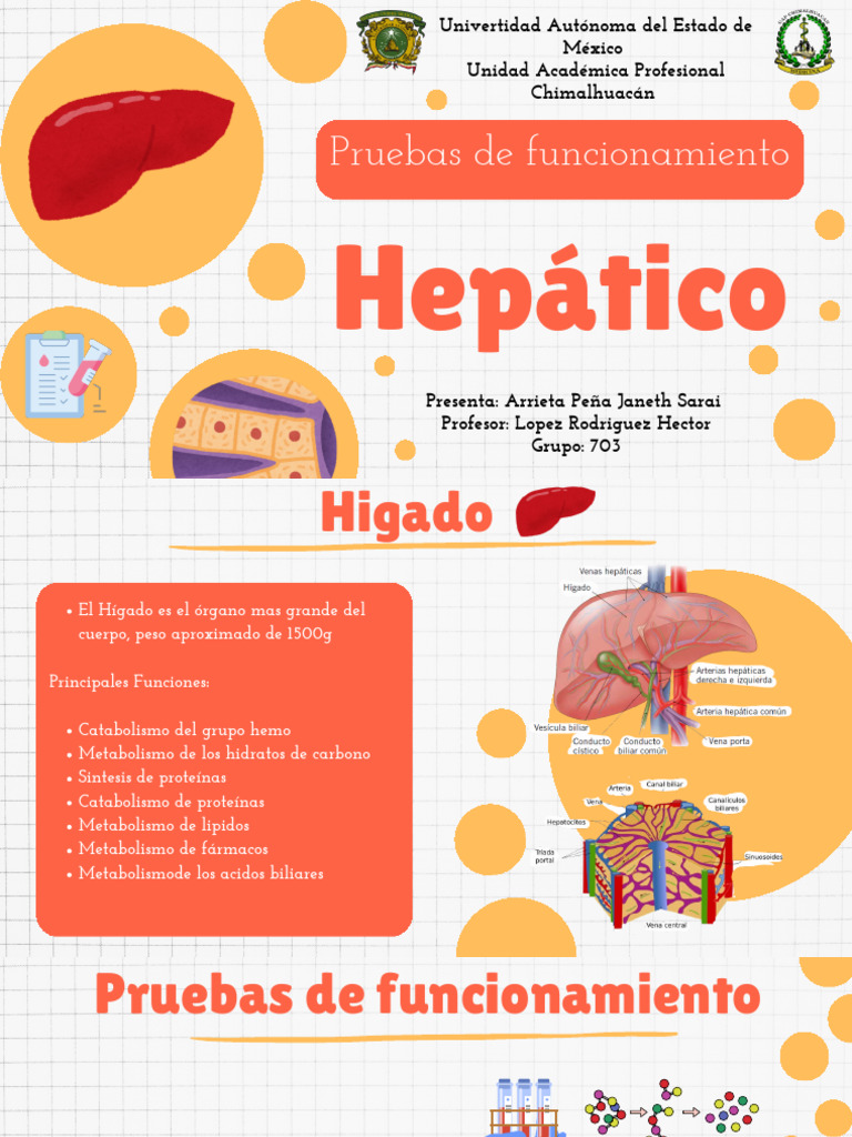 Pruebas de Funcionamiento Hepático | PDF | Transaminasa | Hepatitis