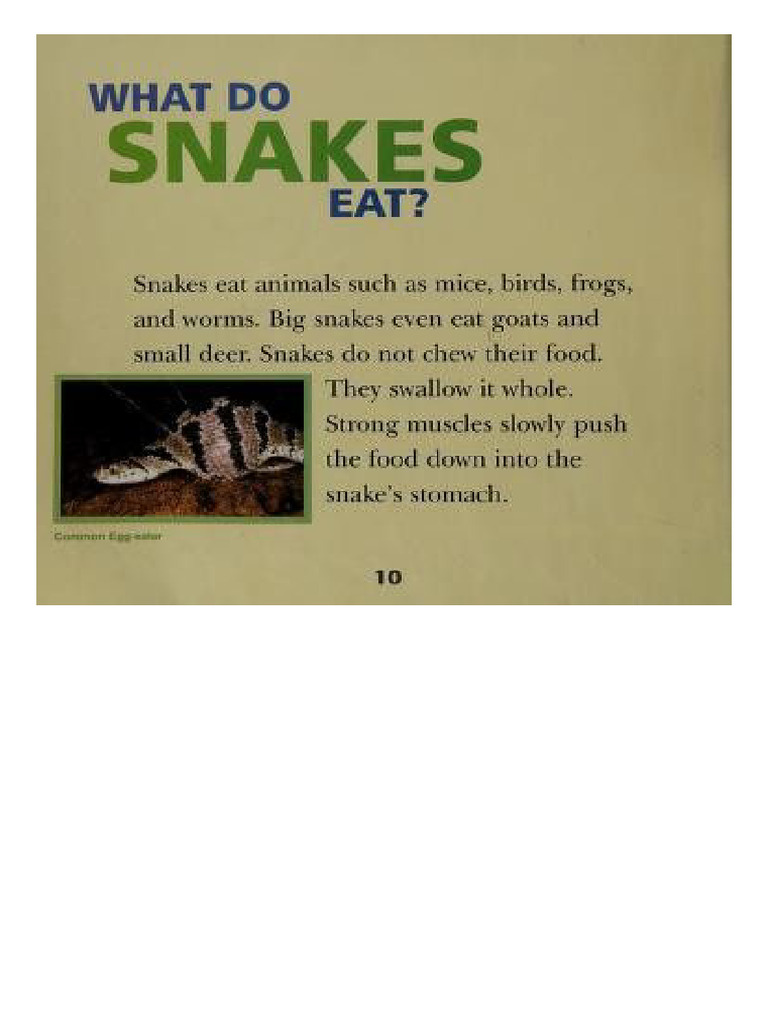 Snakes | PDF
