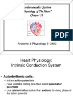 2402 Lecture02 CH 18 Heart