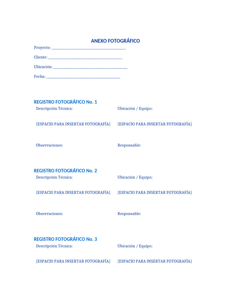 Anexo Fotografico Formato Azul | PDF
