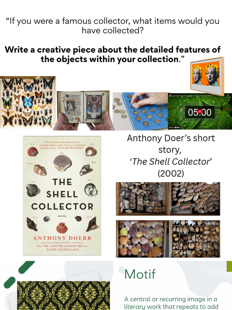My Shell Collector Motif Uncovering Deeper Meaning Symbols, Patterns ...