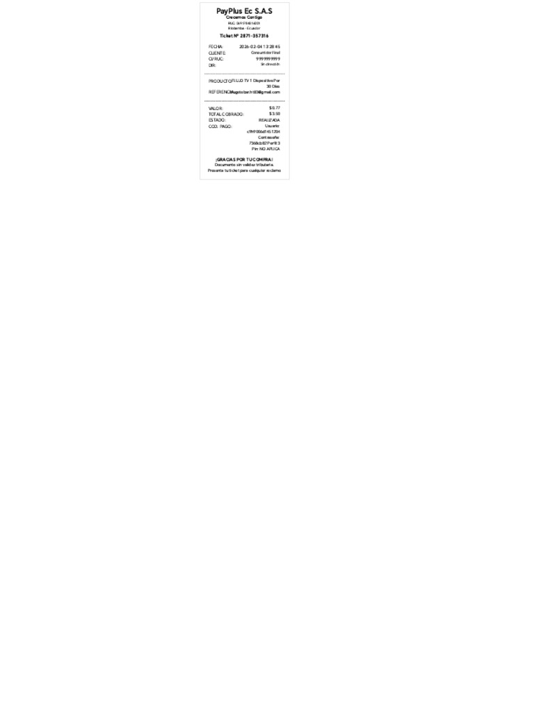 PayPlus (2) | PDF