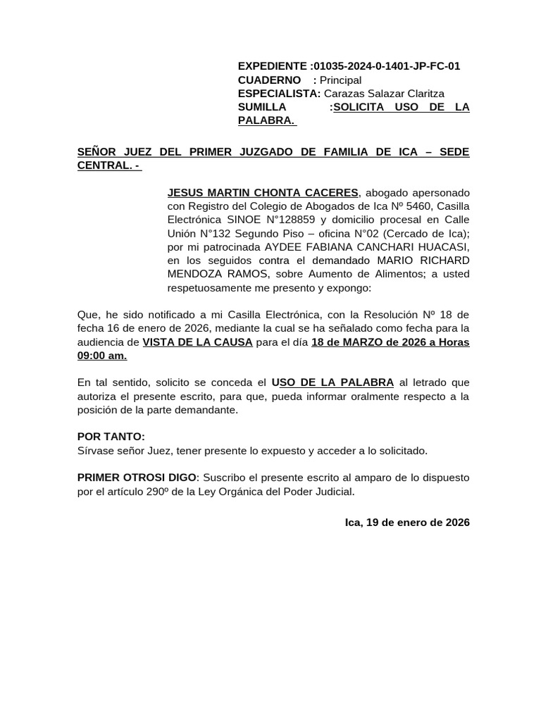 Solicito Uso de La Palabra | PDF