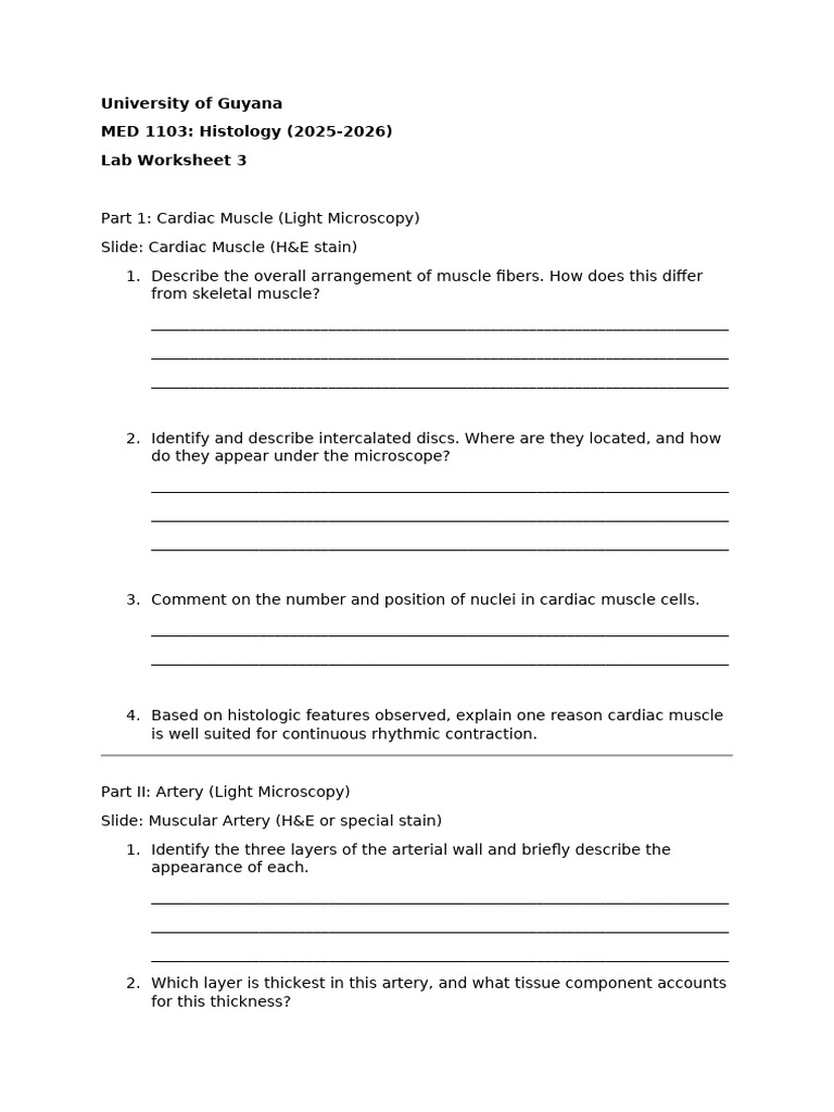 Labs Instructions and Worksheet 3 | PDF | Cardiac Muscle | Artery