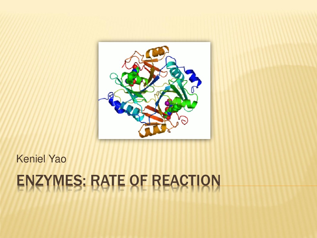 Enzymes Rate of Reaction PDF Reaction Rate Enzyme