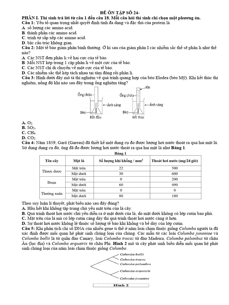 De On Tap So 24 - Hs | PDF