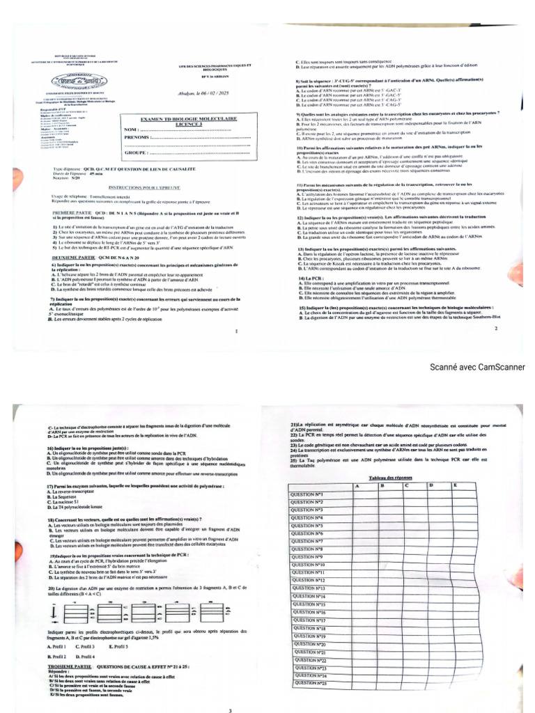 Compo TP Biol Mol G3 2025 | PDF