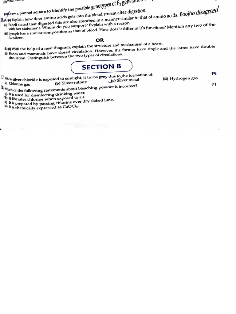Practice Paper 4 | PDF